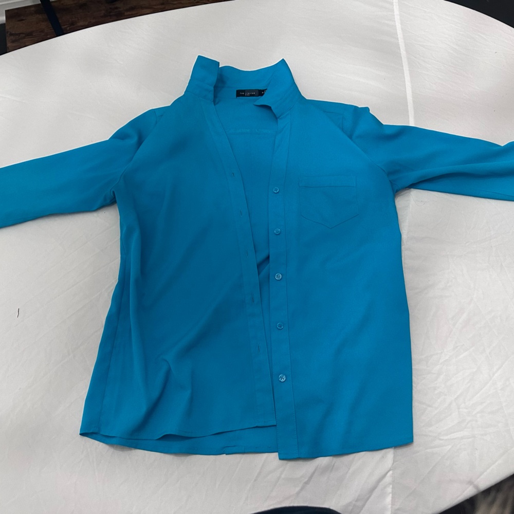 The Limited Teal Top